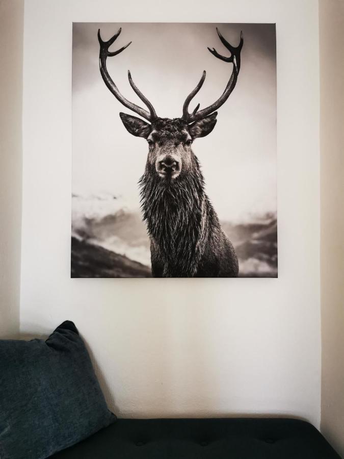 Apartmán Homberg Stuben Winterberg Exteriér fotografie